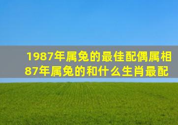 1987年属兔的最佳配偶属相 87年属兔的和什么生肖最配